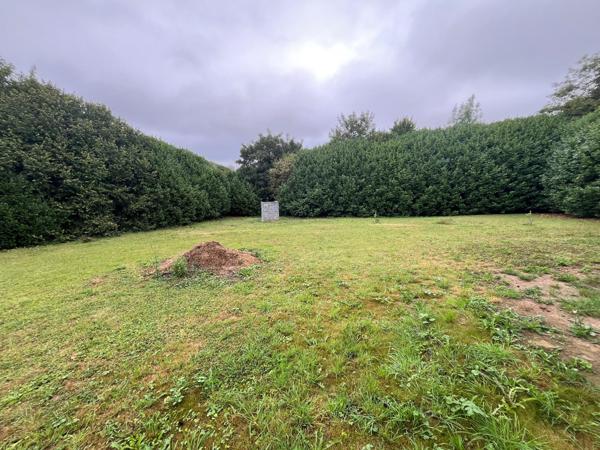 Vente / Local Industriel / Bâtiment