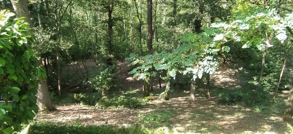 Maison à vendre à Montpon-Ménestérol (24700) - Dordogne