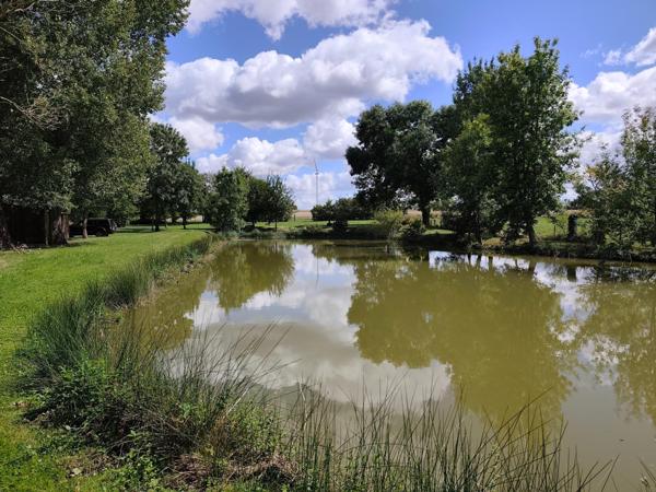 Terrain de loisirs avec étang alimenté par sources – Saint-Genou (36)