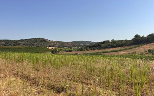 Terrain à vendre