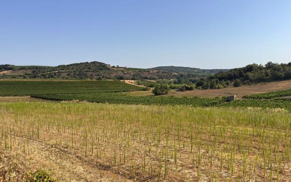 Terrain à vendre