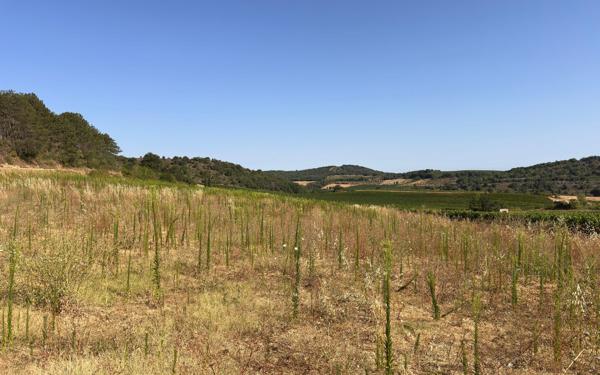 Terrain à vendre