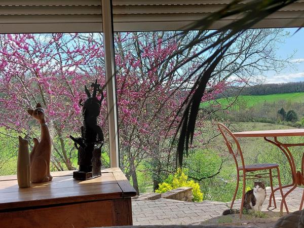 Le confort d’une belle maison ouverte sur l’extérieur