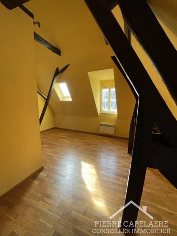 Lille (59000) Grand T2 emplacement N°1 Vieux Lille - rue Basse