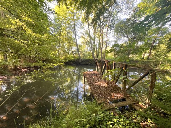 Maison à vendre à Javerlhac-et-la-Chapelle-Saint-Robert (24300) - Dordogne