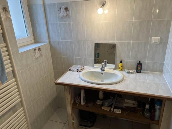 Vente / Maison de village à Ansac-sur-Vienne (16500)