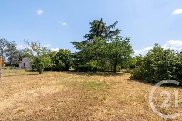 Maison à vendre  5 pièces - 170 m 2   ALBI  - 81