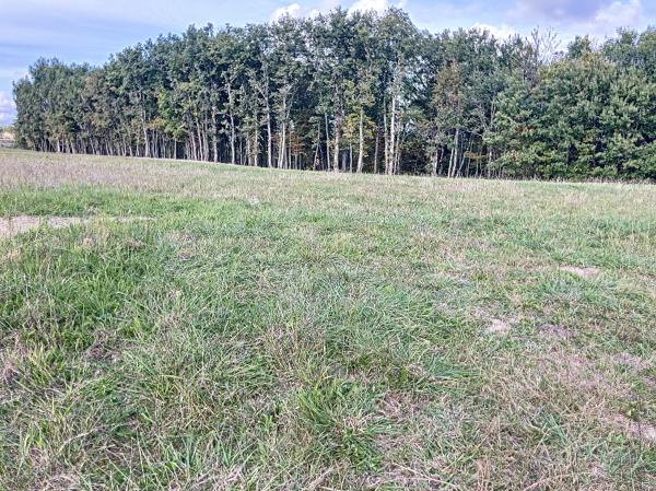 Achat terrain près de Monclar-de-Quercy - 1065 m² - 50 000 €