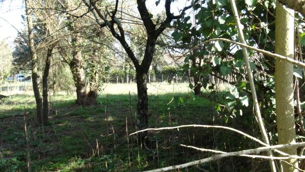 Preignac (33210) Terrain à bâtir en première ligne libre de construction