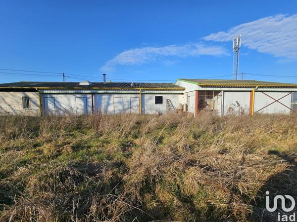 Murs commerciaux  à vendre 300 m² La Ville-Dieu-du-Temple