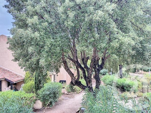 Appartement Studio à vendre  1 pièce - 33,46 m2 LECCI - 201