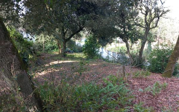 Maison à vendre    4 pièces •  Saint-Georges-d'Oléron