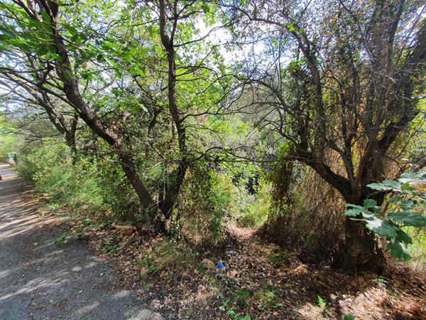 Terrain Nice Nord de 1930 m2 avec permis approuvé