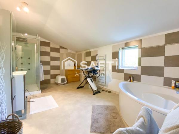 LOFT avec dépendances et beau terrain !