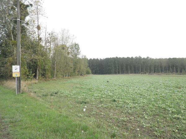 Terrain à usage professionnel à vendre à Fismes dans la Marne (51170), ref : 51083/VENT/719