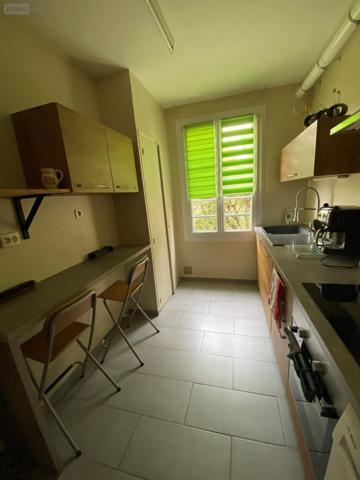 Appartement à vendre à Châlons-en-Champagne dans la Marne (51000), ref : A100   
CENTRE VILLE