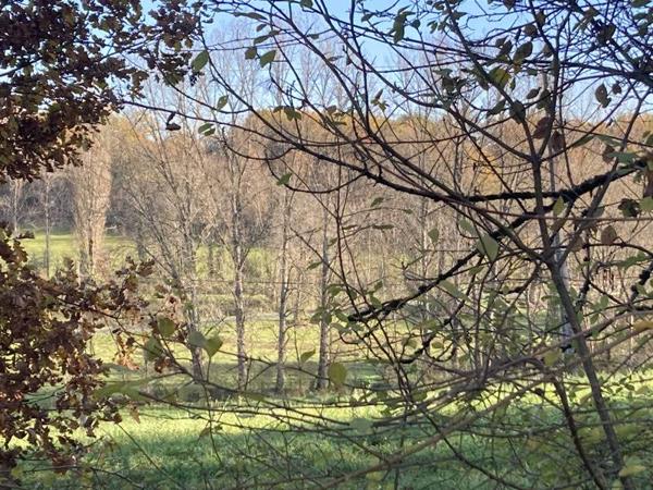 Terrain à vendre |  Meyssac |  3475 m²