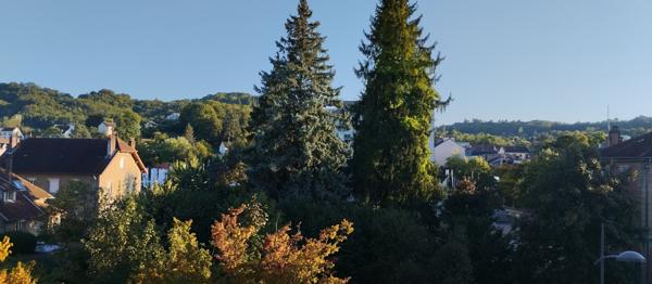 Lons-le-Saunier (39000) T3 Hypercentre Lons-le-Saunier