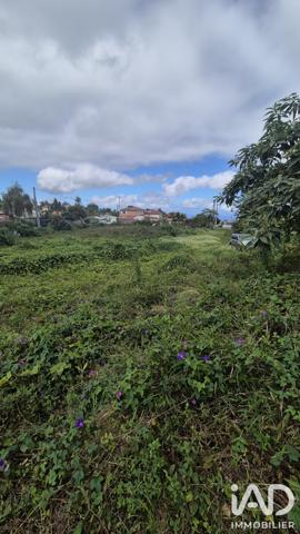 Terrain à vendre 400 m² Le Tampon