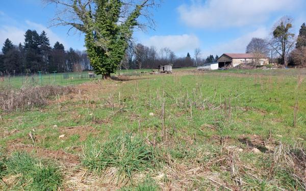 Terrain à vendre    Glandon