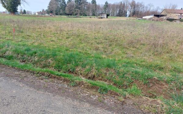 Terrain à vendre    Glandon