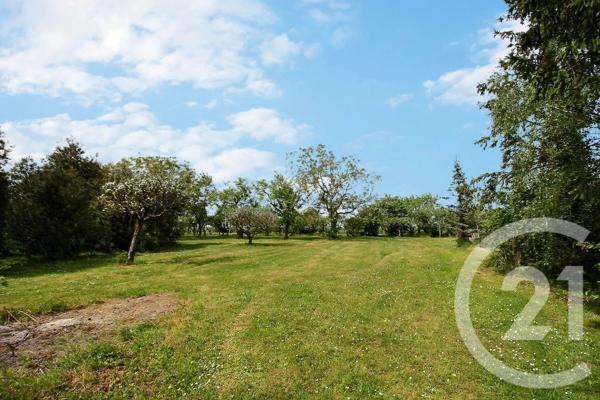Maison à vendre  7 pièces - 213,50 m 2   VILLIERS SUR LOIR  - 41