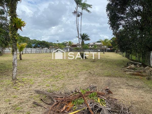 Terrain constructible 1117 m2 Tonnegrande