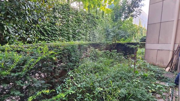 Appartement  en vente - 