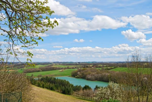 A vendre proche de MARCIAC (32) - Château de 32 pièces - 1540 m2 habitables - Domaine de 5,8 hectares