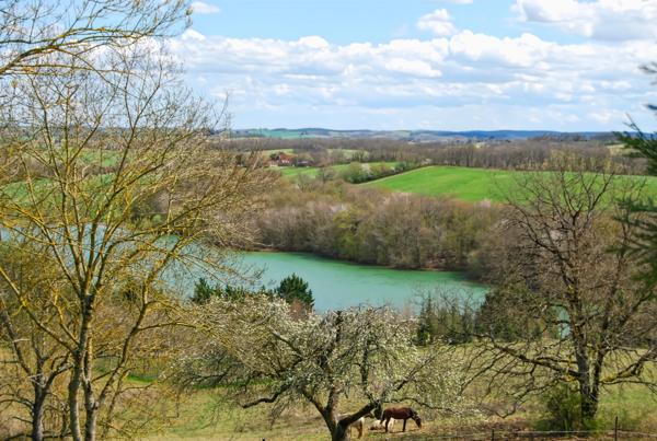 A vendre proche de MARCIAC (32) - Château de 32 pièces - 1540 m2 habitables - Domaine de 5,8 hectares