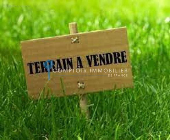 Terrain