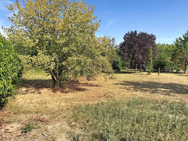 Terrain à vendre de 568 m² à Les Hauts d'Anjou - Réf. 3035