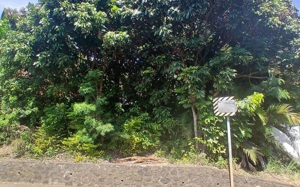 Terrain à vendre    Entre-Deux