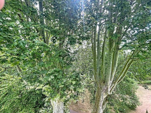 APPARTEMENT T 5 TRES LUMINEUX A PROXIMITE DU RER C