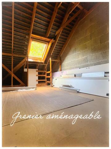 Achat - Maison Le Plessis-Macé 49770 4 pièces 88 m 2 597 m 2