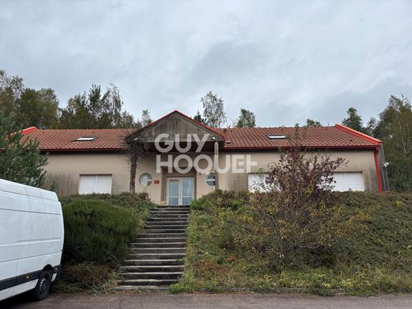 Local commercial Saint Avold 388 m2