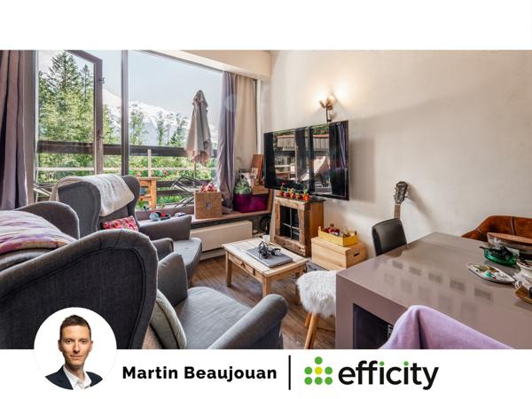 Appartement 1 pièce - 30 m² Exclusivité efficity