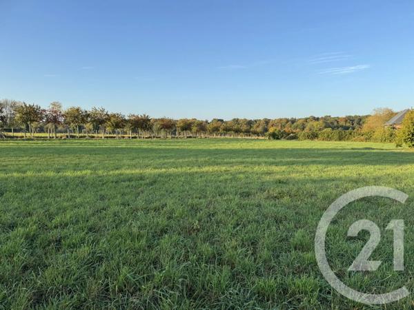 Terrain à vendre  15046 m 2   LA LANDE ST LEGER  - 27