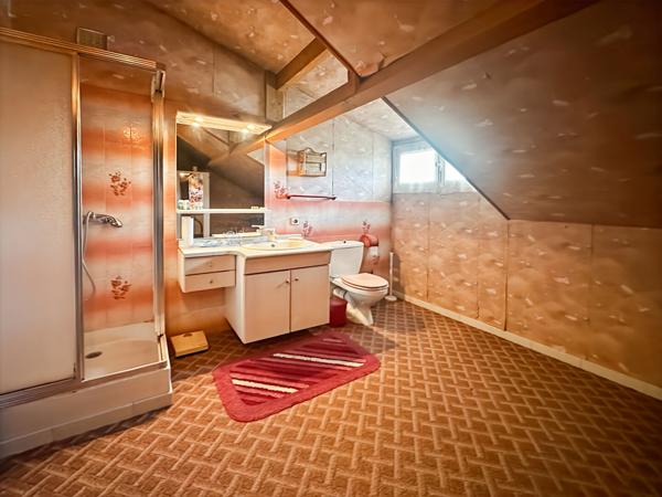 Maison Meulière sur grand terrain à Verrières-le-Buisson, SOUS SOL, SOPHIE BARAT