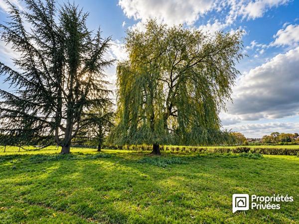 Maison Vandenesse - Belle demeure - 7000 mètres de terrain