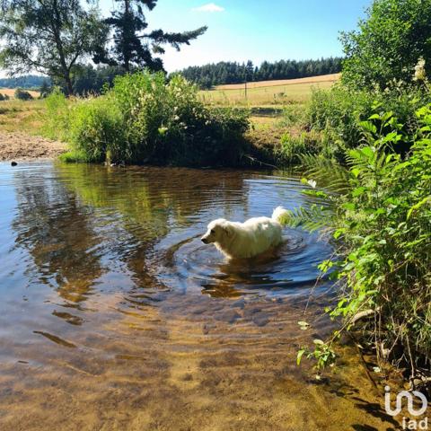 Maison à vendre 4 pièces 107 m² Bourg-Argental