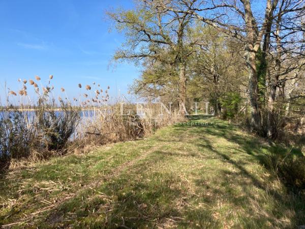Exceptionnel domaine sur plus de 250 hectares à vendre au coeur de la Brenne