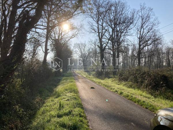 Exceptionnel domaine sur plus de 250 hectares à vendre au coeur de la Brenne