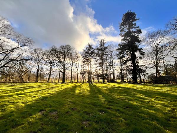 CHÂTEAU XIXe EN VENDÉE CONVENANT POUR UNE EXPLOITATION TOURISTIQUE