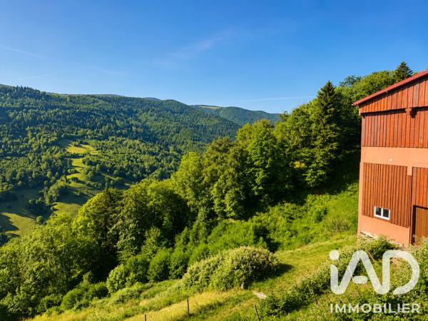 Maison à vendre 23 pièces 491 m² Sainte-Marie-aux-Mines