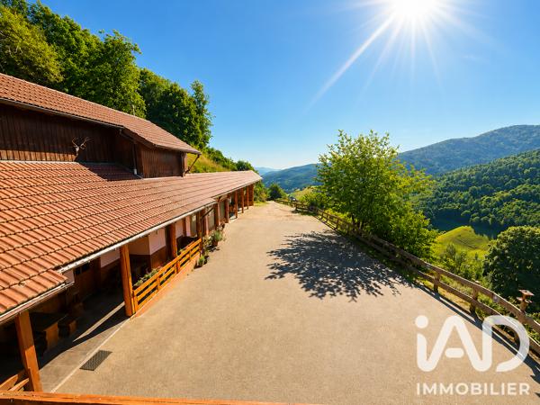 Maison à vendre 23 pièces 491 m² Sainte-Marie-aux-Mines