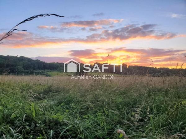 Maison avec 25HA de terrain et 40 box à chevaux