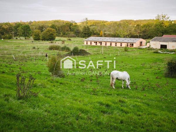 Maison avec 25HA de terrain et 40 box à chevaux