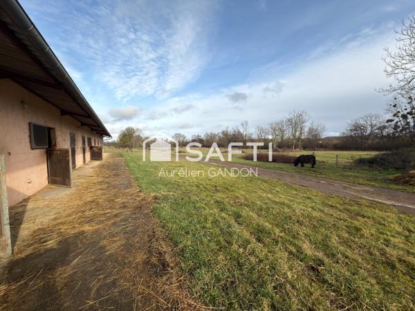 Maison avec 25HA de terrain et 40 box à chevaux