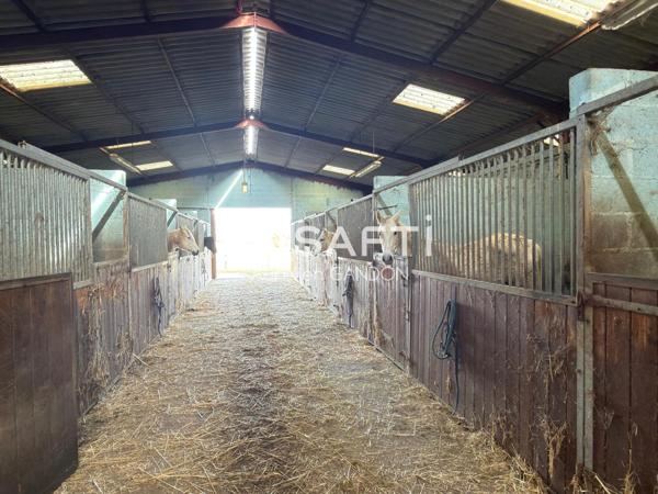 Maison avec 25HA de terrain et 40 box à chevaux